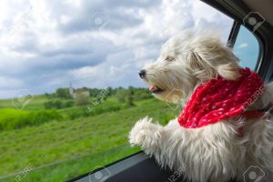 Unsere beliebtesten Touren